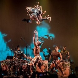 Afrique en Cirque