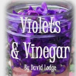 Violets and Vinegar